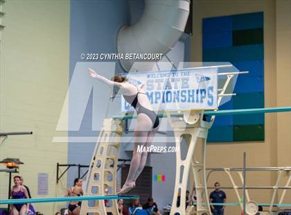 Thumbnail 3 in 3A Dive Championship photogallery.