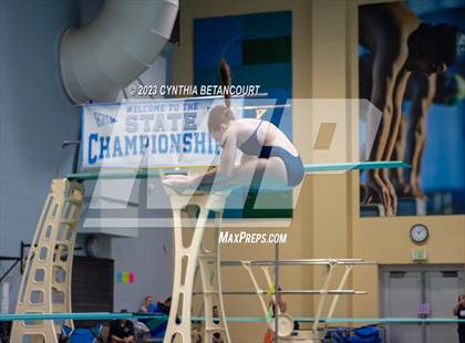 Thumbnail 2 in 3A Dive Championship photogallery.