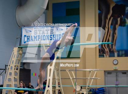 Thumbnail 3 in 3A Dive Championship photogallery.