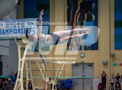 Thumbnail 3 in 3A Dive Championship photogallery.