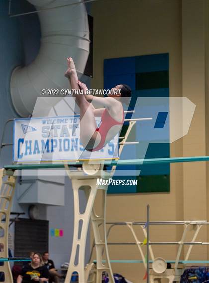 Thumbnail 1 in 3A Dive Championship photogallery.