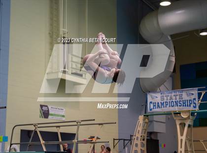 Thumbnail 3 in 3A Dive Championship photogallery.