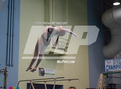 Thumbnail 1 in 3A Dive Championship photogallery.