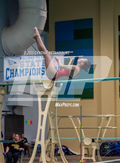 Thumbnail 2 in 3A Dive Championship photogallery.
