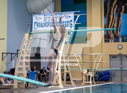 Thumbnail 1 in 3A Dive Championship photogallery.