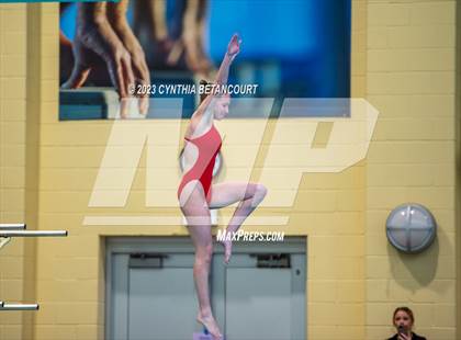 Thumbnail 1 in 3A Dive Championship photogallery.
