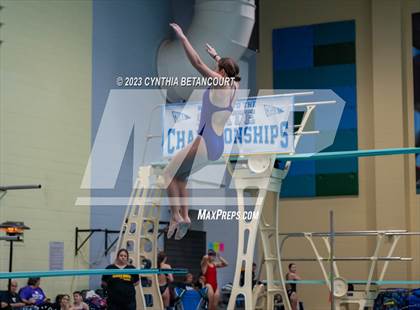 Thumbnail 3 in 3A Dive Championship photogallery.
