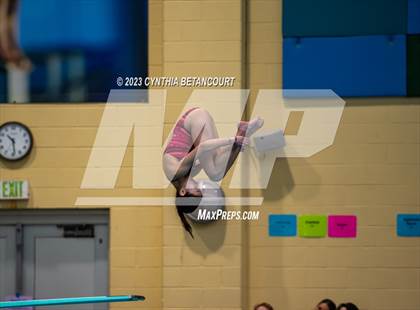 Thumbnail 1 in 3A Dive Championship photogallery.