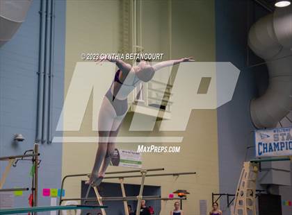 Thumbnail 2 in 3A Dive Championship photogallery.