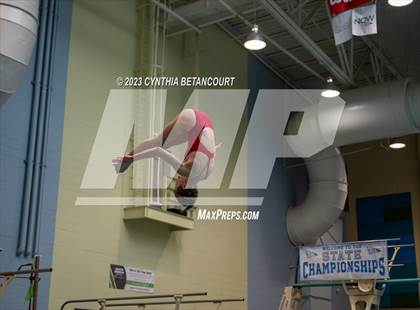 Thumbnail 2 in 3A Dive Championship photogallery.
