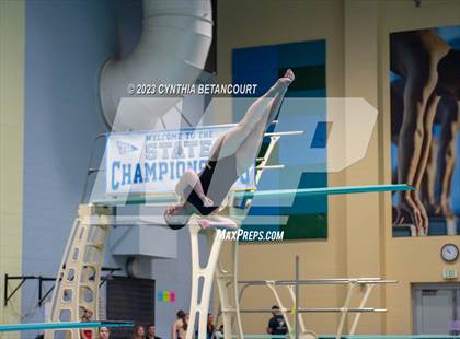 Thumbnail 2 in 3A Dive Championship photogallery.