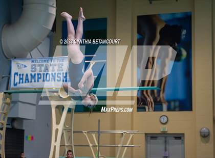 Thumbnail 2 in 3A Dive Championship photogallery.