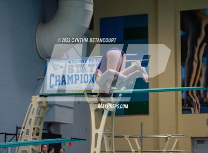 Thumbnail 1 in 3A Dive Championship photogallery.