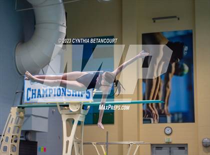 Thumbnail 1 in 3A Dive Championship photogallery.