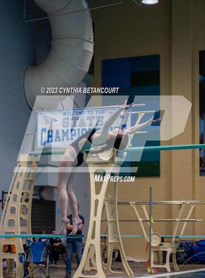 Thumbnail 1 in 3A Dive Championship photogallery.