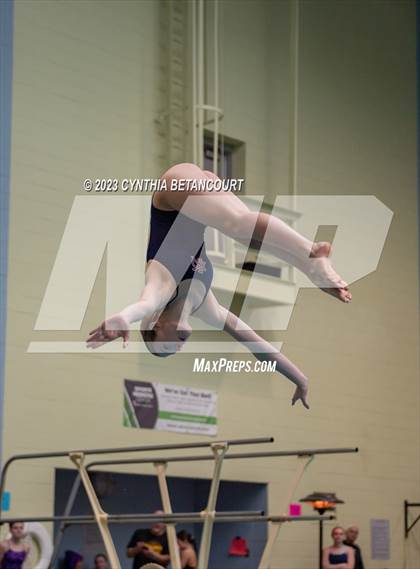 Thumbnail 3 in 3A Dive Championship photogallery.