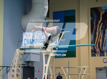 Thumbnail 1 in 3A Dive Championship photogallery.