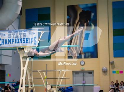 Thumbnail 2 in 3A Dive Championship photogallery.