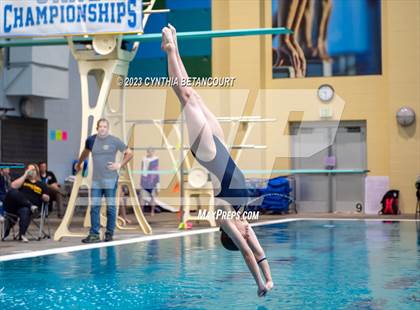Thumbnail 2 in 3A Dive Championship photogallery.