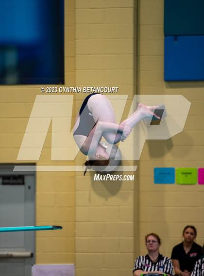 Thumbnail 3 in 3A Dive Championship photogallery.