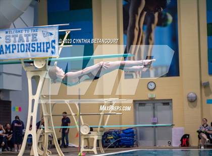 Thumbnail 1 in 3A Dive Championship photogallery.