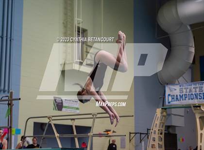 Thumbnail 1 in 3A Dive Championship photogallery.