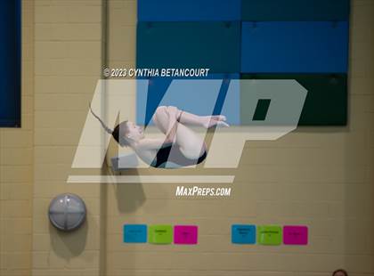 Thumbnail 3 in 3A Dive Championship photogallery.