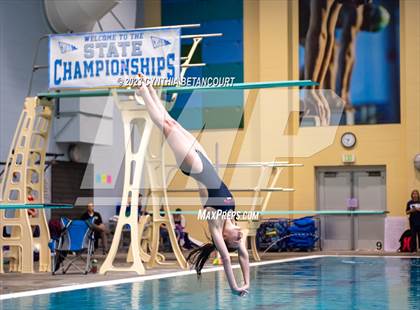 Thumbnail 2 in 3A Dive Championship photogallery.