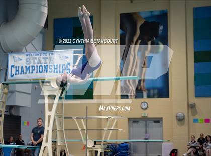 Thumbnail 3 in 3A Dive Championship photogallery.