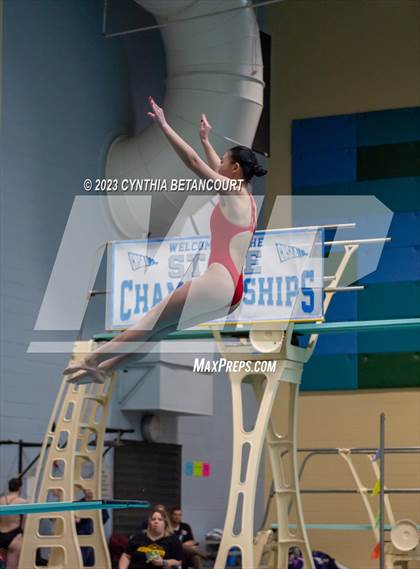Thumbnail 2 in 3A Dive Championship photogallery.