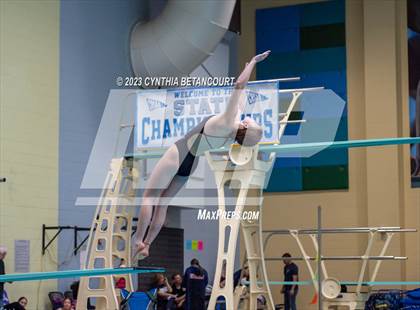 Thumbnail 1 in 3A Dive Championship photogallery.