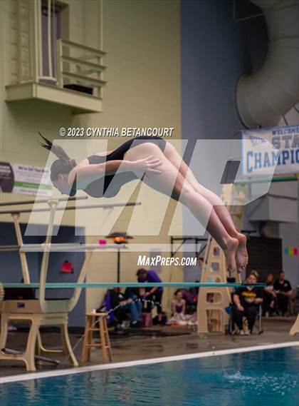 Thumbnail 2 in 3A Dive Championship photogallery.