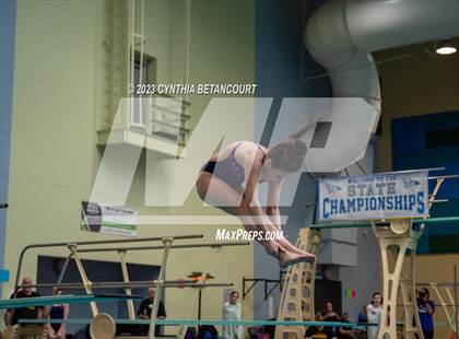 Thumbnail 1 in 3A Dive Championship photogallery.