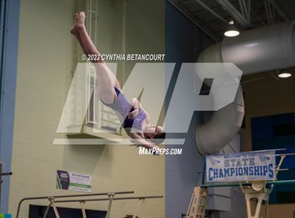 Thumbnail 2 in 3A Dive Championship photogallery.