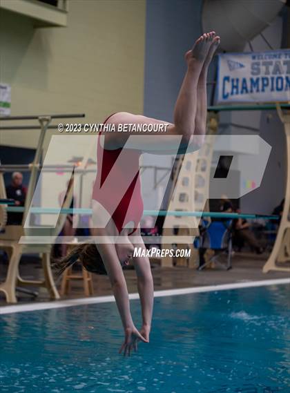Thumbnail 1 in 3A Dive Championship photogallery.