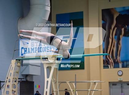 Thumbnail 3 in 3A Dive Championship photogallery.