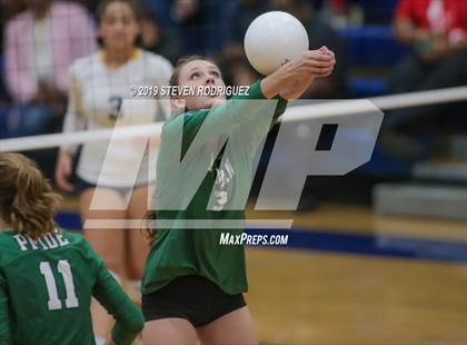 Thumbnail 2 in Pitman @ Turlock photogallery.