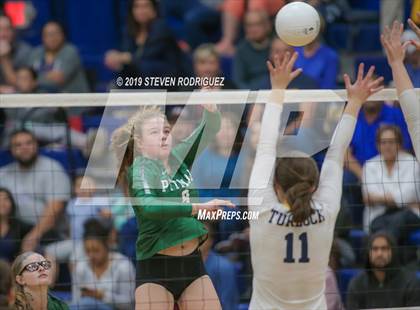 Thumbnail 1 in Pitman @ Turlock photogallery.