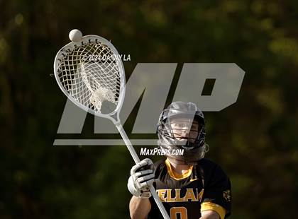 Thumbnail 2 in Kellam @ West Springfield photogallery.