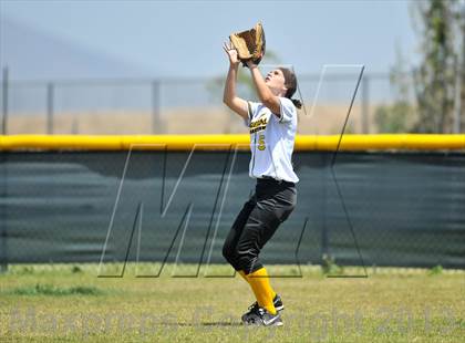 Thumbnail 3 in El Capitan @ Olympian photogallery.