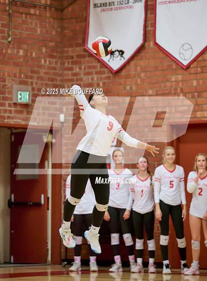 Thumbnail 3 in Wiseburn Da Vinci vs Bishop Diego (CIF-SS D6 Round 2) photogallery.