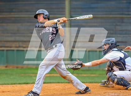 Thumbnail 1 in Kingfisher vs Tuttle photogallery.