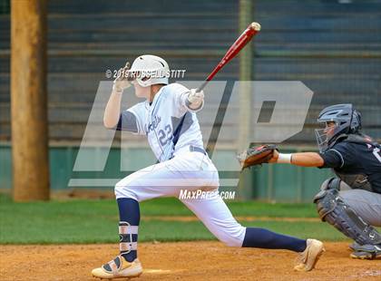 Thumbnail 3 in Kingfisher vs Tuttle photogallery.