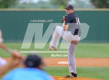 Thumbnail 2 in Kingfisher vs Tuttle photogallery.