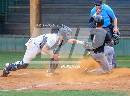Thumbnail 3 in Kingfisher vs Tuttle photogallery.