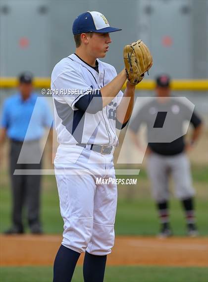 Thumbnail 1 in Kingfisher vs Tuttle photogallery.