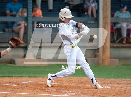 Thumbnail 3 in Kingfisher vs Tuttle photogallery.