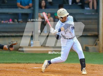 Thumbnail 1 in Kingfisher vs Tuttle photogallery.