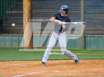 Thumbnail 2 in Kingfisher vs Tuttle photogallery.