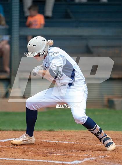 Thumbnail 1 in Kingfisher vs Tuttle photogallery.